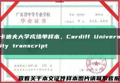 卡迪夫大学成绩单样本，Cardiff University transcript缩略图