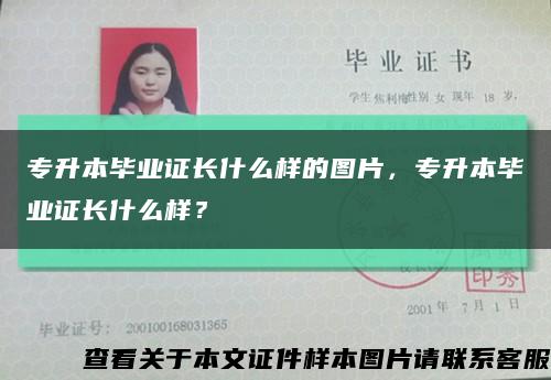 专升本毕业证长什么样的图片，专升本毕业证长什么样？缩略图