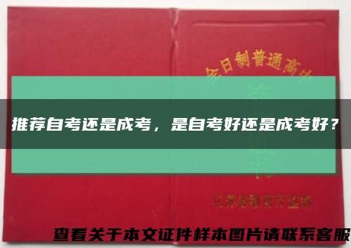推荐自考还是成考，是自考好还是成考好？缩略图