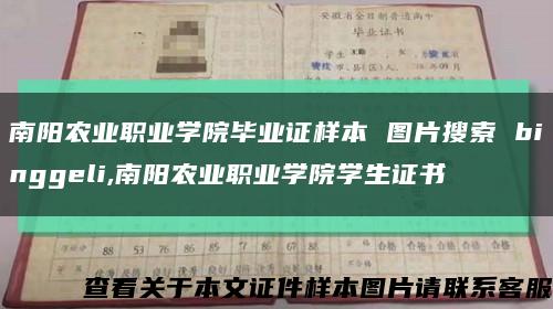 南阳农业职业学院毕业证样本 图片搜索 binggeli,南阳农业职业学院学生证书缩略图