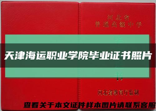 天津海运职业学院毕业证书照片缩略图