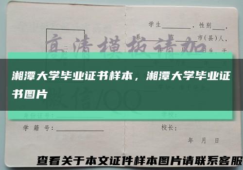 湘潭大学毕业证书样本，湘潭大学毕业证书图片缩略图