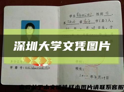 深圳大学文凭图片缩略图