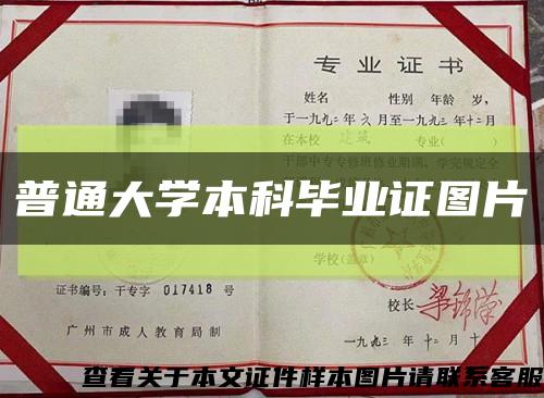 普通大学本科毕业证图片缩略图