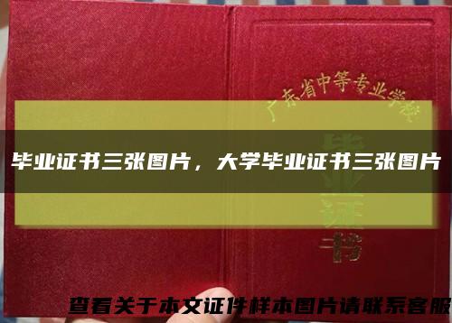 毕业证书三张图片，大学毕业证书三张图片缩略图