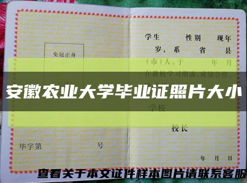 安徽农业大学毕业证照片大小缩略图