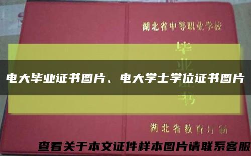 电大毕业证书图片、电大学士学位证书图片缩略图
