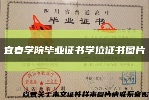 宜春学院毕业证书学位证书图片缩略图