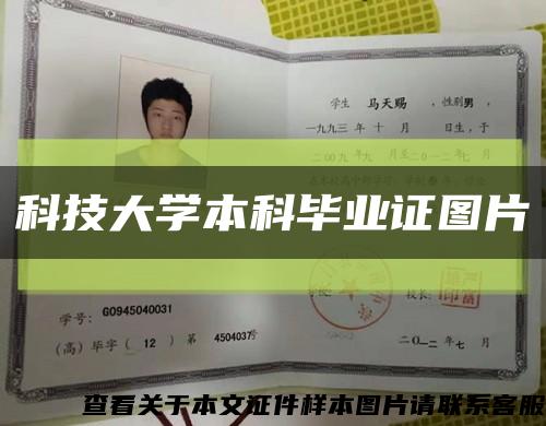 科技大学本科毕业证图片缩略图