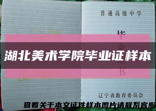 湖北美术学院毕业证样本缩略图