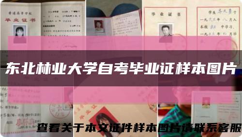 东北林业大学自考毕业证样本图片缩略图