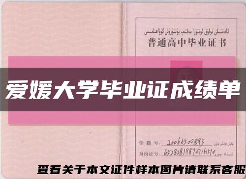爱媛大学毕业证成绩单缩略图
