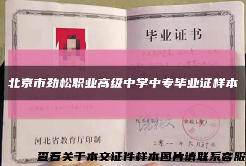 北京市劲松职业高级中学中专毕业证样本缩略图