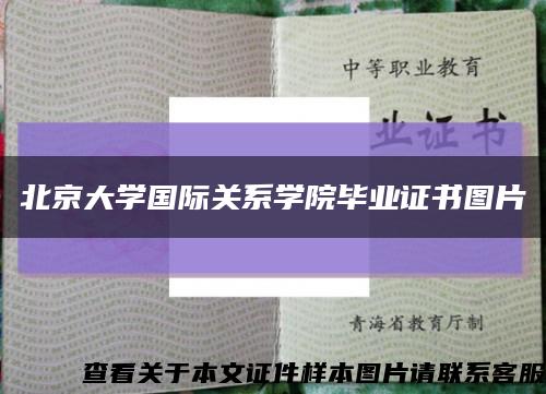 北京大学国际关系学院毕业证书图片缩略图