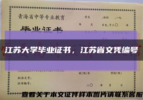 江苏大学毕业证书，江苏省文凭编号缩略图