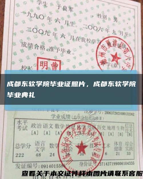 成都东软学院毕业证照片，成都东软学院毕业典礼缩略图