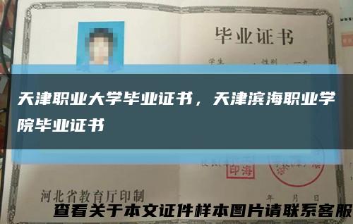 天津职业大学毕业证书，天津滨海职业学院毕业证书缩略图
