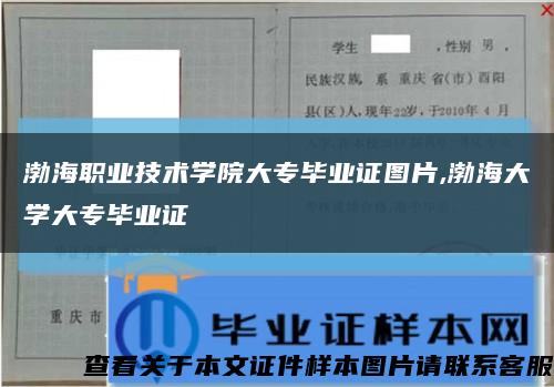 渤海职业技术学院大专毕业证图片,渤海大学大专毕业证缩略图