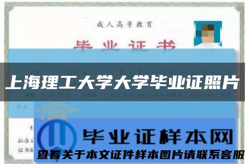上海理工大学大学毕业证照片缩略图