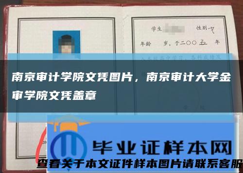 南京审计学院文凭图片，南京审计大学金审学院文凭盖章缩略图
