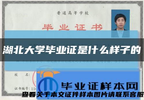 湖北大学毕业证是什么样子的缩略图