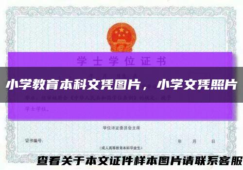 小学教育本科文凭图片，小学文凭照片缩略图