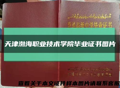 天津渤海职业技术学院毕业证书图片缩略图