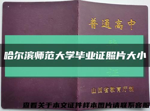 哈尔滨师范大学毕业证照片大小缩略图