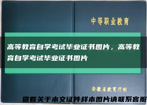 高等教育自学考试毕业证书图片，高等教育自学考试毕业证书图片缩略图