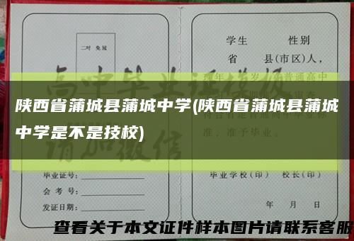 陕西省蒲城县蒲城中学(陕西省蒲城县蒲城中学是不是技校)缩略图