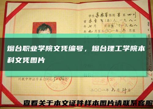 烟台职业学院文凭编号，烟台理工学院本科文凭图片缩略图