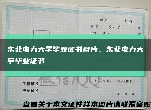 东北电力大学毕业证书图片，东北电力大学毕业证书缩略图