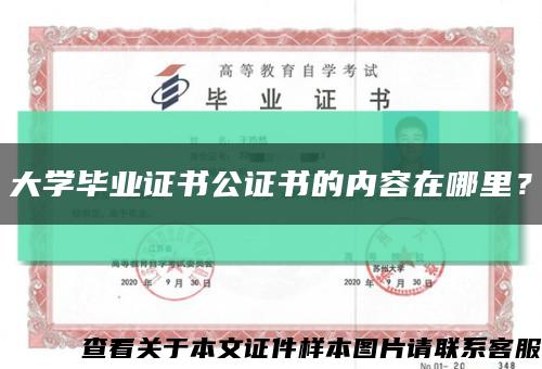 大学毕业证书公证书的内容在哪里？缩略图