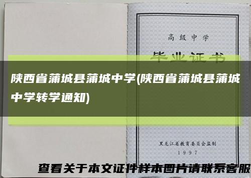 陕西省蒲城县蒲城中学(陕西省蒲城县蒲城中学转学通知)缩略图