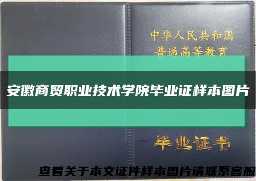 安徽商贸职业技术学院毕业证样本图片缩略图