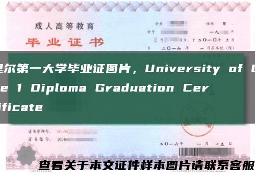 里尔第一大学毕业证图片，University of Lille 1 Diploma Graduation Certificate缩略图
