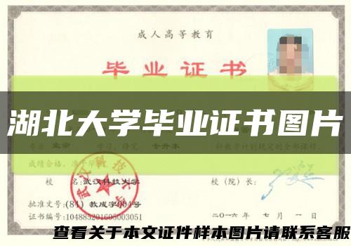 湖北大学毕业证书图片缩略图
