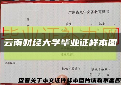 云南财经大学毕业证样本图缩略图
