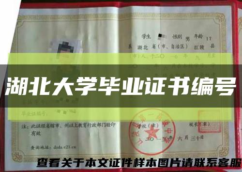 湖北大学毕业证书编号缩略图