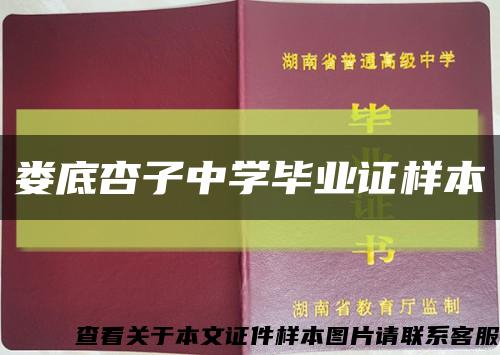 娄底杏子中学毕业证样本缩略图