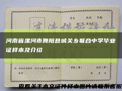 河南省漯河市舞阳县城关乡联合中学毕业证样本及介绍缩略图