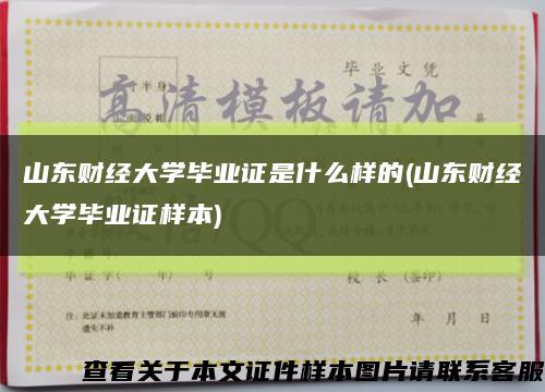 山东财经大学毕业证是什么样的(山东财经大学毕业证样本)缩略图