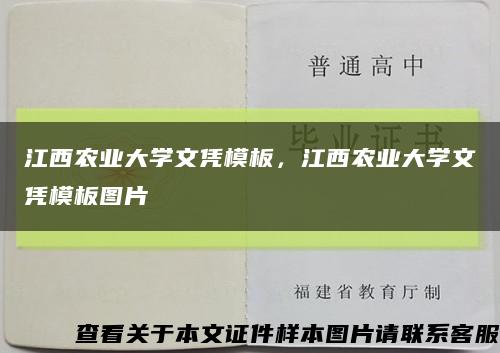 江西农业大学文凭模板，江西农业大学文凭模板图片缩略图