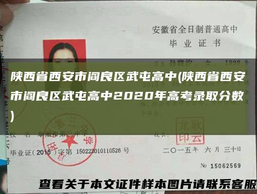 陕西省西安市阎良区武屯高中(陕西省西安市阎良区武屯高中2020年高考录取分数)缩略图