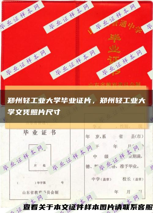 郑州轻工业大学毕业证片，郑州轻工业大学文凭照片尺寸缩略图