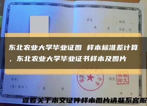东北农业大学毕业证图 样本标准差计算，东北农业大学毕业证书样本及图片缩略图