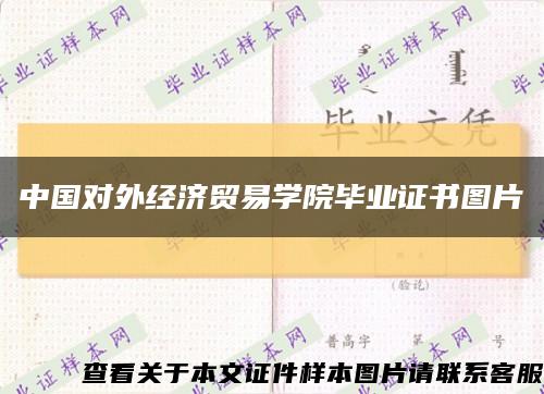 中国对外经济贸易学院毕业证书图片缩略图