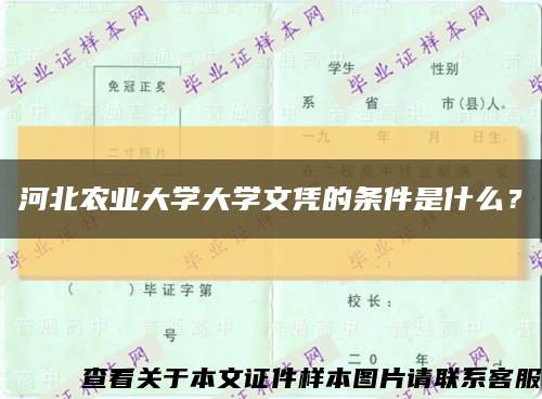 河北农业大学大学文凭的条件是什么？缩略图