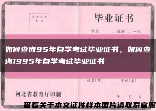 如何查询95年自学考试毕业证书，如何查询1995年自学考试毕业证书缩略图