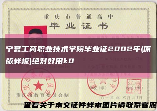 宁夏工商职业技术学院毕业证2002年(原版样板)绝对好用k0缩略图